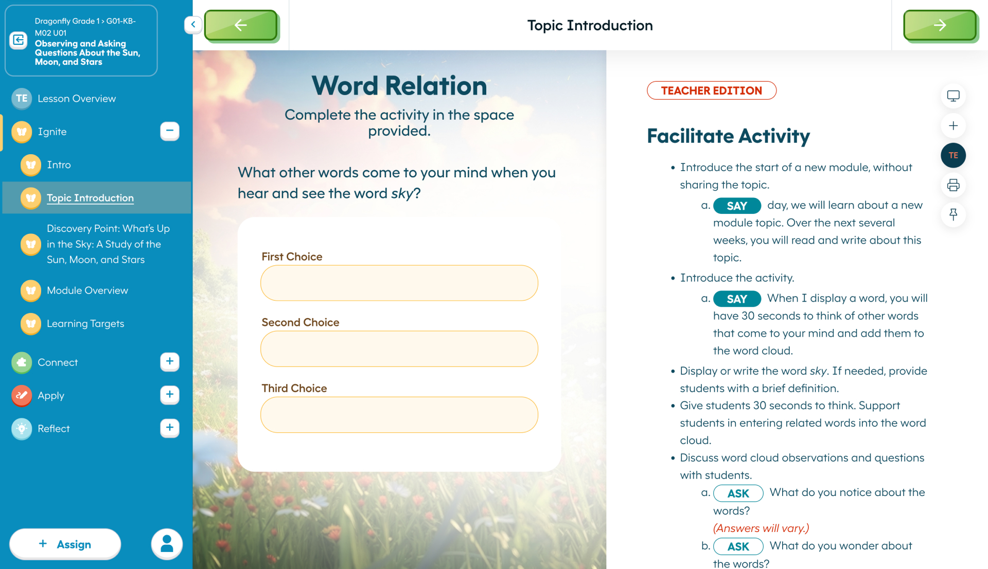 Dragonfly teacher lesson TE